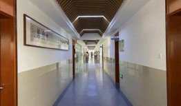 青岛二中自招爆料视频大全,揭秘自招内幕与备考攻略